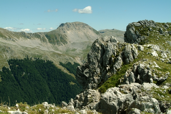 Sculture naturali